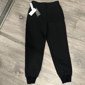 Aritzia Babaton Allegory Pant